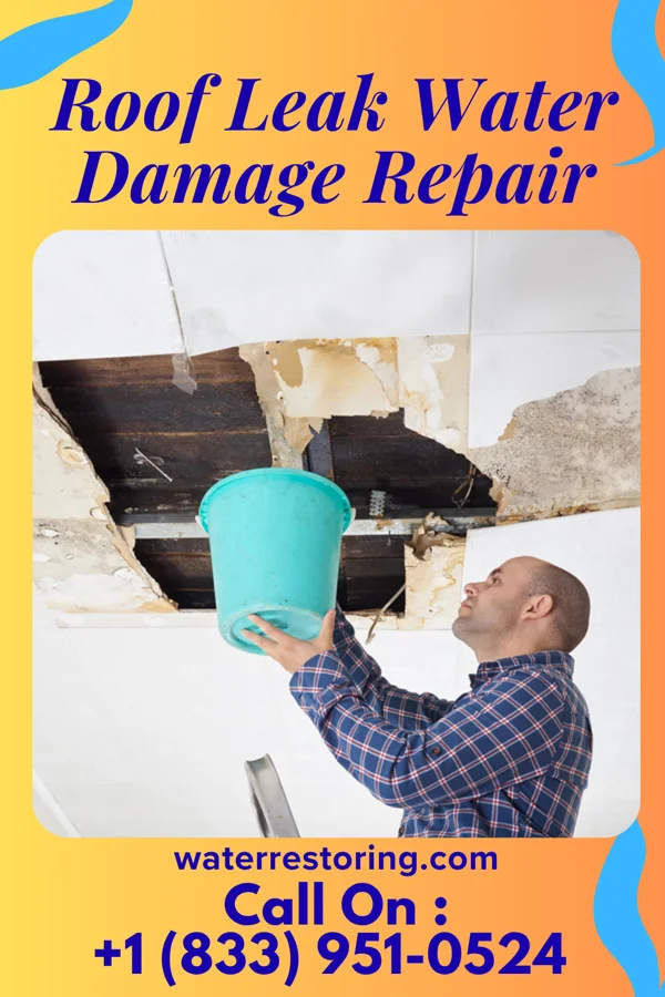 Roof Leak Water Damage Repair in Toledo, IA