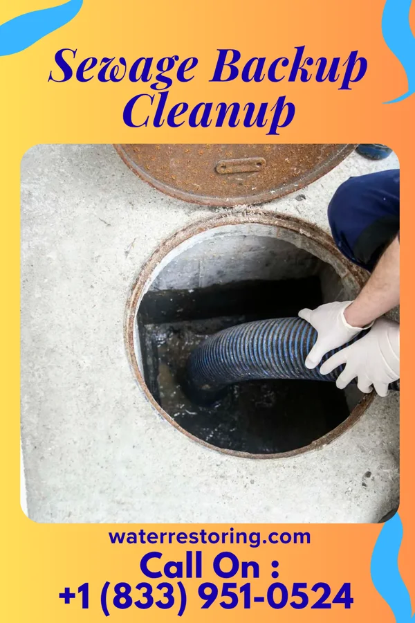 Sewage Backup Cleanup in Toledo, IA